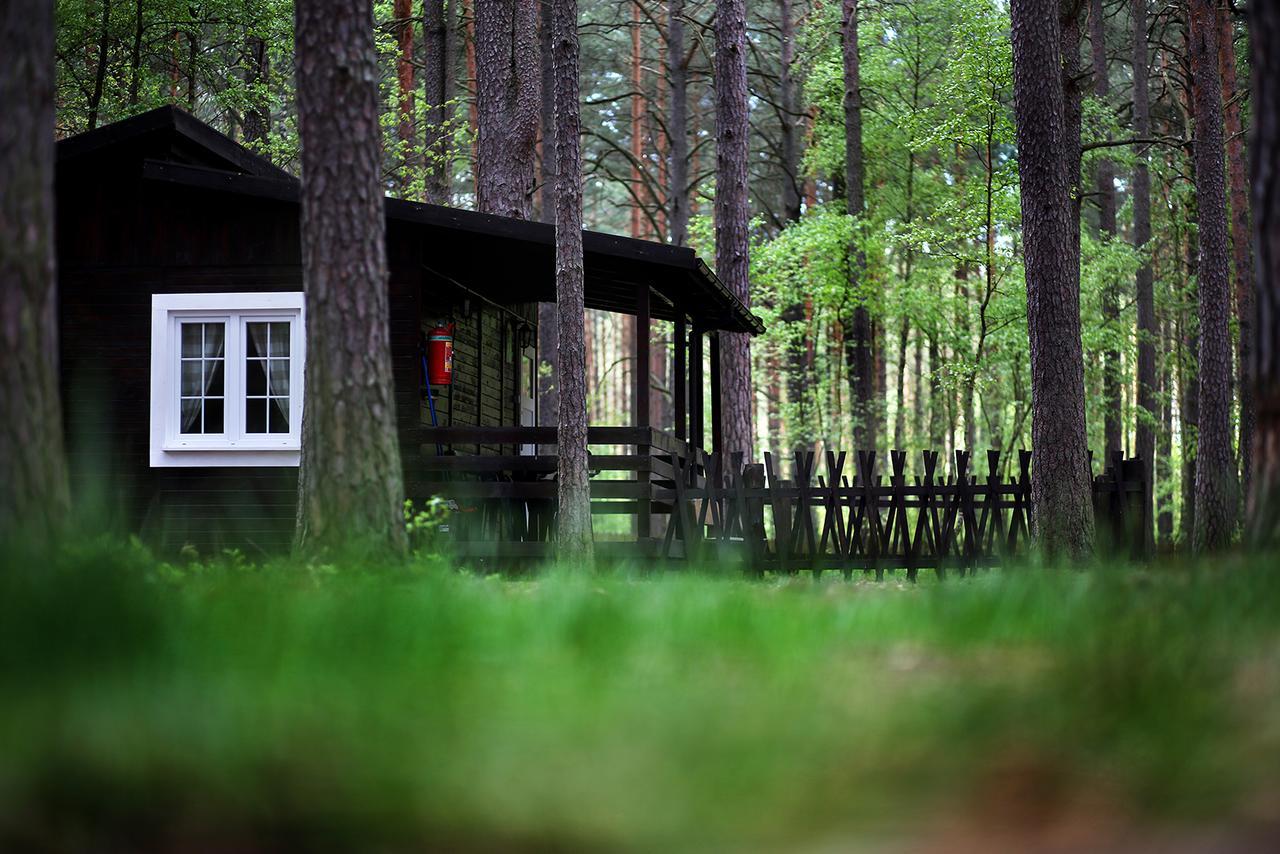 Wiatraki Nature