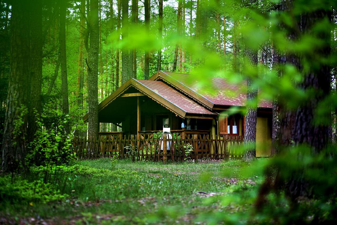 База відпочинку Wiatraki Nature